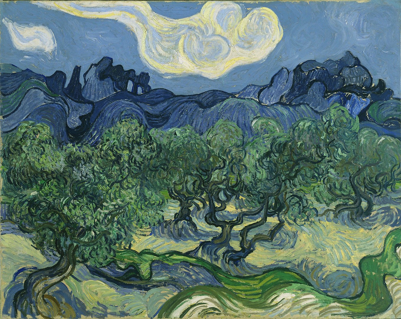 Van Gogh’s Olive Trees Meaning