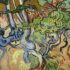 Van Gogh’s Olive Trees Meaning